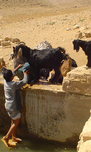 Political effluent: Implementing wastewater re-use in Wadi Musa, Jordan | 2006